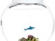 Shark Electronic Pet in Glass Bowl