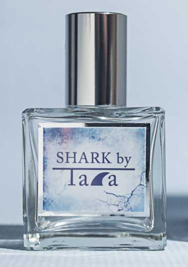 Shark by Tara