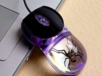 Smithsonian Glow-In-The-Dark Spider Computer Mouse