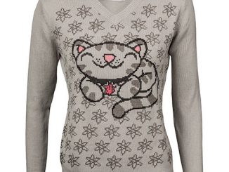 Soft Kitty V-Neck Sweater