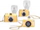 Special Edition Golden Lomography Cameras