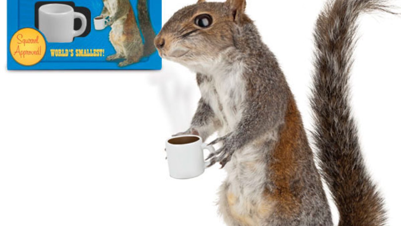 Squirrel Porcelain Coffee Cup by Archie McPhee World's Smallest! New in  Package