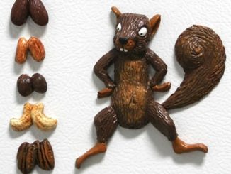 Squirrel with Mixed Nuts - 3D Magnets