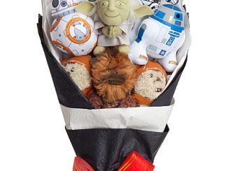 Officially-licensed Star Wars Bouquet Plush Gift Droids R2-D2 R2-Q5 and R2-D9 