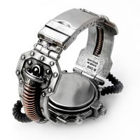 Steam-Powered Entropy Calibrator Watch