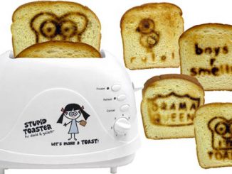 Stupid Toaster