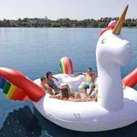 Sun Pleasure Party Bird Unicorn Island Float