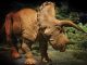 The 20 Foot Animatronic Triceratops