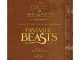 The Case of Beasts Explore the Film Wizardry of Fantastic Beasts and Where to Find Them