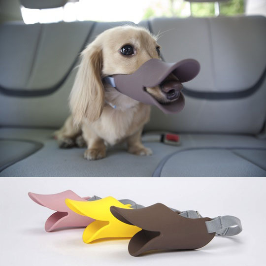The Oppo Dog Muzzle Quack