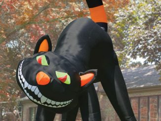 The Two Story Inflatable Black Cat