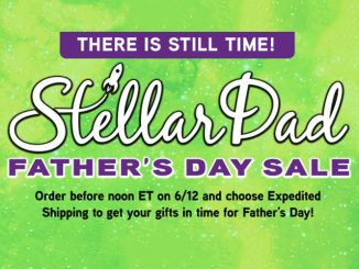 ThinkGeek Father's Day Sale