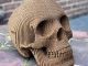 Vince Cardboard Human Skull