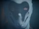 Watchmen Comic-Con Trailer