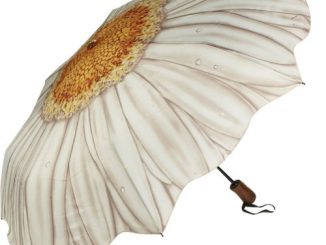 White Daisy Folding Umbrella