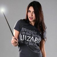 Wizard In The Sheets Womens T Shirt