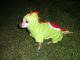 Yoshi Nintendo Dog Costume