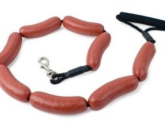 hot-dog-leash