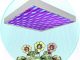 LED Grow Light with Super Harvest Colors