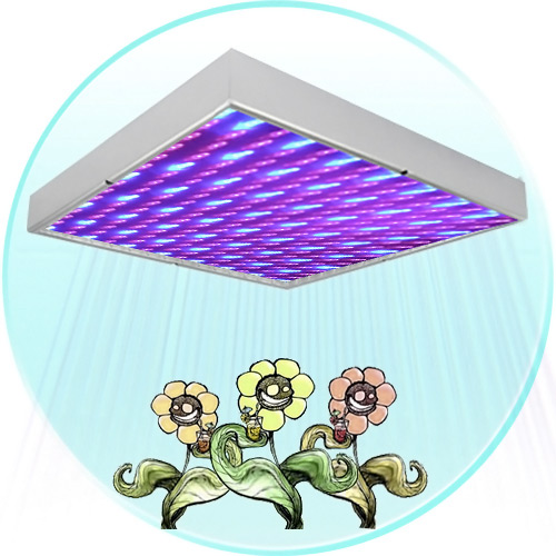 LED Grow Light with Super Harvest Colors