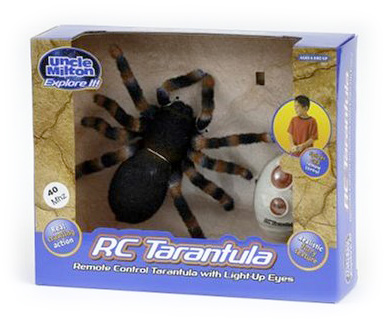 RC Spider
