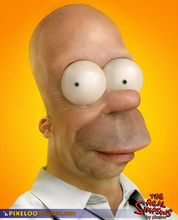 The Real Homer Simpson